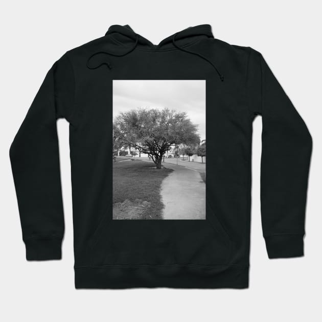 Landscape and tree Hoodie by ScrambledPsychology